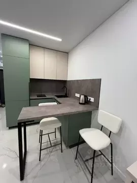 Студия Москва Дмитровское ш., 75/77 (24.0 м)