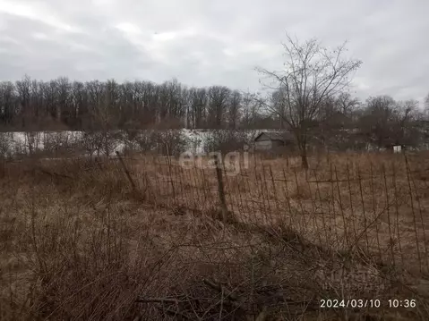 Участок в Белгородская область, Белгородский район, Беломестненское ...