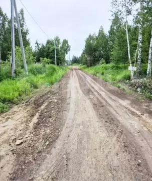 Участок в Тюменская область, Нижнетавдинский муниципальный округ, с. ...