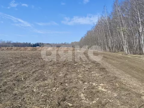 Участок в Московская область, Раменский муниципальный округ, пос. ...