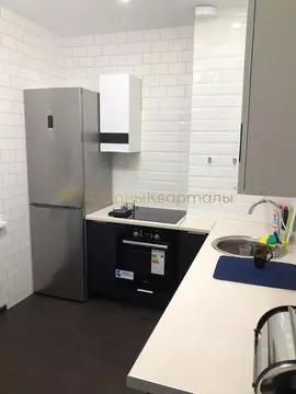 1-к кв. Новосибирская область, Новосибирск Танковая ул., 6 (43.0 м)