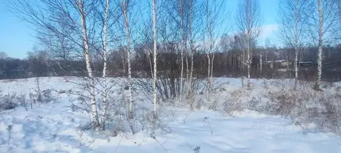 Участок в Новосибирская область, Новосибирский район, Барышевский ...