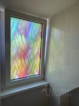 Комната Калининградская область, Калининград ул. Чернышевского, 24