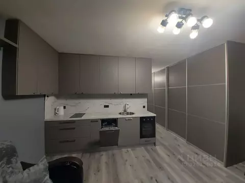 Студия Санкт-Петербург пос. Парголово, Заречная ул., 13к2 (29.0 м)