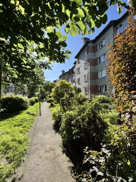 3-к кв. Калининградская область, Калининград Бассейная ул., 31 (64.5 ...