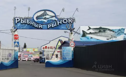 Торговая площадь в Омская область, Омск ул. 10 лет Октября, 207Ак3 (7 ...