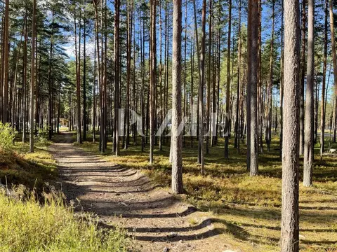 Участок в Ленинградская область, Приозерский район, Петровское с/пос, ...