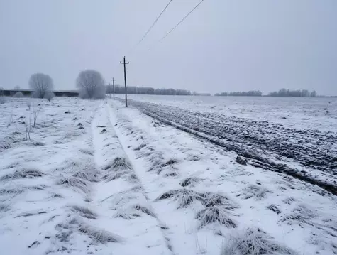 Участок в Тульская область, Ясногорский район, Ревякинское с/пос, с. ...