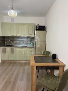 1-к кв. Санкт-Петербург ул. Пахомовская, 12к2 (30.1 м)