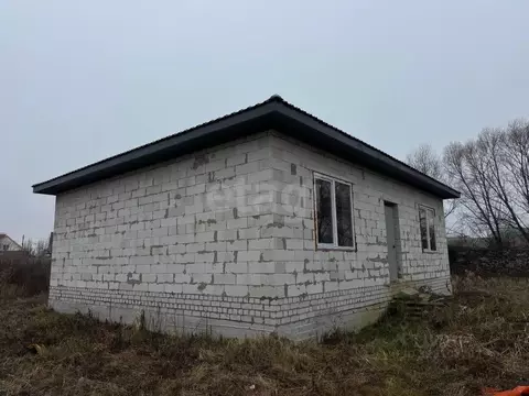 Дом в Воронежская область, с. Новая Усмань ул. Победы, 175/2 (95 м)