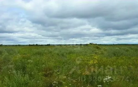 Участок в Ленинградская область, Кингисеппский район, Опольевское ...