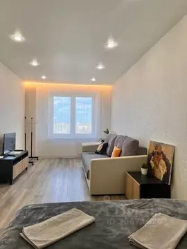 1-к кв. Псковская область, Псков ул. Алексея Алехина, 3 (38.0 м)