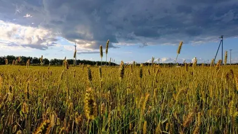 Участок в Тульская область, Заокский район, Демидовское муниципальное ...