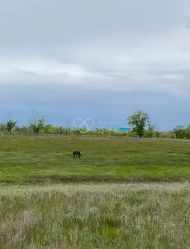 Участок в Волгоградская область, Волгоград ул. Яхтенная (7.5 сот.)