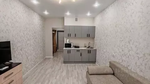 Студия Краснодарский край, Анапа Парковая ул., 67к2 (27.0 м)