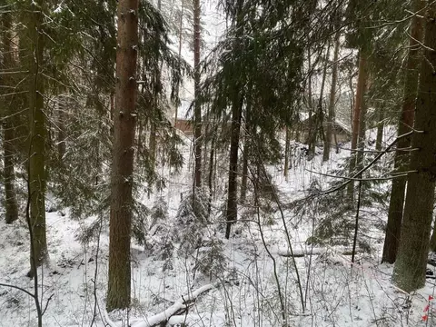 Участок в Ленинградская область, Всеволожский район, Токсовское ...