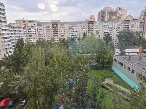 2-к кв. Санкт-Петербург ул. Савушкина, 122К2 (55.0 м)