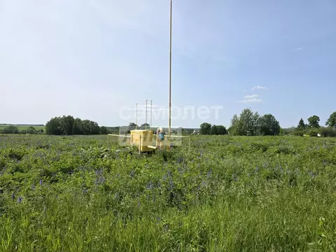 Участок в Марий Эл, Йошкар-Ола городской округ, д. Акшубино ул. ...