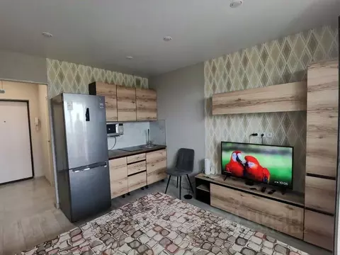 Студия Воронежская область, с. Новая Усмань ул. Полевая, 41Б (19.6 м)