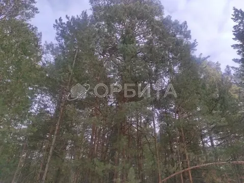 Участок в Тюменская область, Тюменский муниципальный округ, д. ...