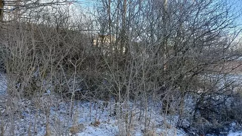 Участок в Московская область, Можайский муниципальный округ, пос. ...