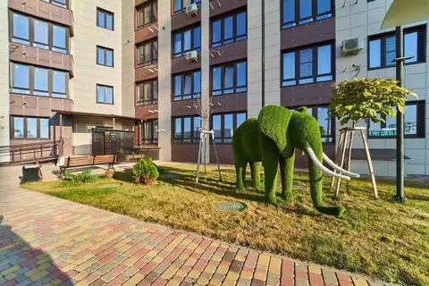 Студия Адыгея, Тахтамукайский район, Старобжегокайское с/пос, Новая ...