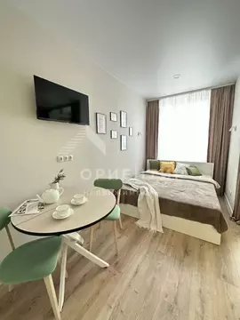 Студия Свердловская область, Екатеринбург ул. Репина, 109 (30.0 м)