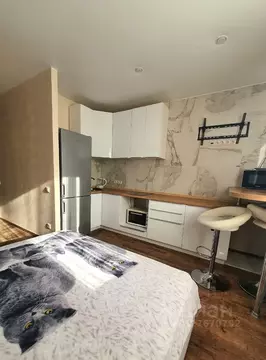 Студия Московская область, Королев Октябрьский бул., 26 (25.0 м)