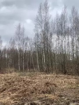 Участок в Калужская область, Малоярославецкий район, Недельное с/пос, ...