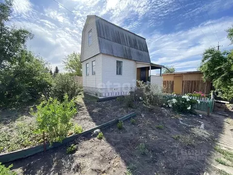 Дом в Курганская область, Курган Авиатор СНТ, ул. Яблоневая (49 м)