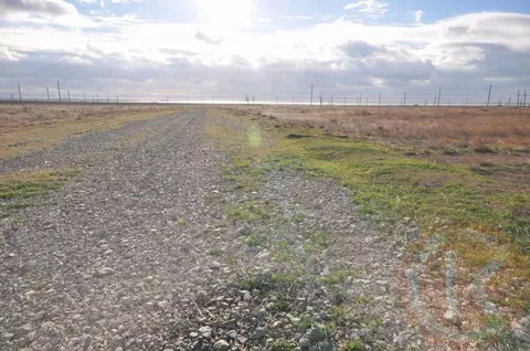 Участок в Крым, Сакский район, Штормовское с/пос, с. Крыловка ул. ...