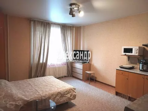 Студия Санкт-Петербург ул. Коллонтай, 17к2 (30.0 м)