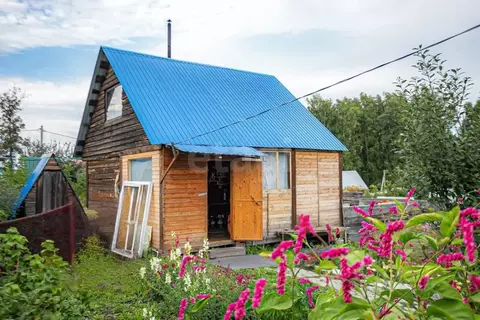 Дом в Новосибирская область, Бердск Ива СНТ, ул. 21-я, 8 (40 м)