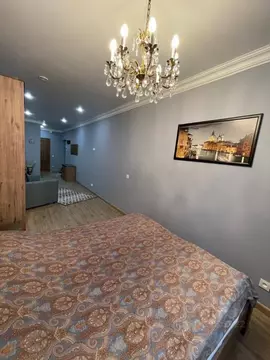 Студия Санкт-Петербург Московский просп., 183-185Ак6 (33.0 м)