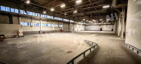 Производственное помещение в Московская область, Пушкинский городской ...
