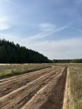 Участок в Московская область, Раменский муниципальный округ, Опушкино ...