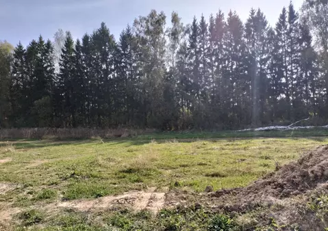 Участок в Калужская область, Боровский район, Совьяки с/пос, д. ...