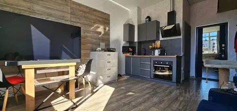 Студия Краснодарский край, Сочи Макаренко СНТ, 38/7 (24.0 м)