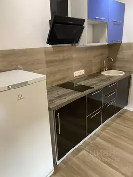 Студия Санкт-Петербург просп. Королева, 64к1 (28.7 м)