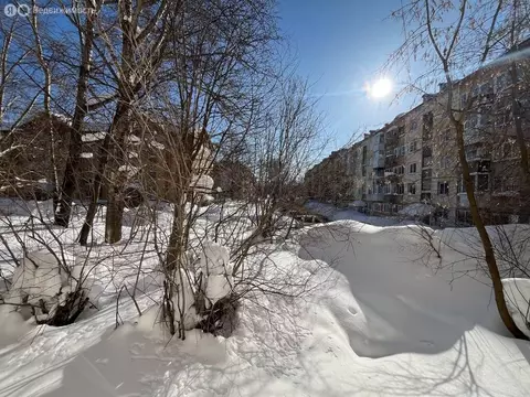 2-комнатная квартира: Березники, улица Ломоносова, 117 (40.1 м)