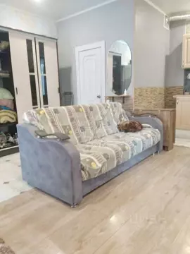 Студия Санкт-Петербург ул. Литераторов, 17 (33.0 м)