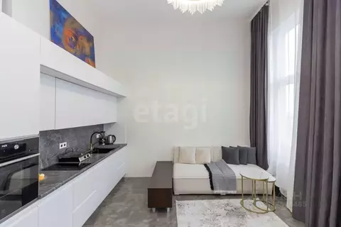 Студия Тюменская область, Тюмень Ставропольская ул., 160/1 (29.0 м)