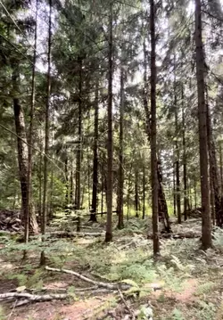 Дом в Москва Лесное озеро кп, 44 (267 м)