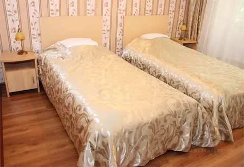 Комната Псковская область, Пушкинские Горы рп ул. Турбаза (16.0 м)