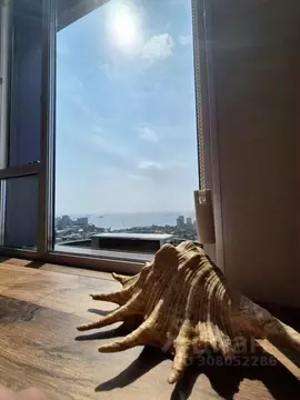 1-к кв. Приморский край, Владивосток ул. Прапорщика Комарова, 34 (25.0 ...