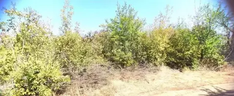 Участок в Ростовская область, Новочеркасск № 16 садовое товарищество, ...