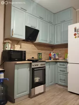 1-комнатная квартира: Осиново, улица Гайсина, 2Б (24.1 м)