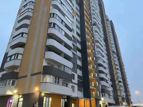 Студия Санкт-Петербург пос. Шушары, просп. Новгородский, 2к1 (24.6 м)