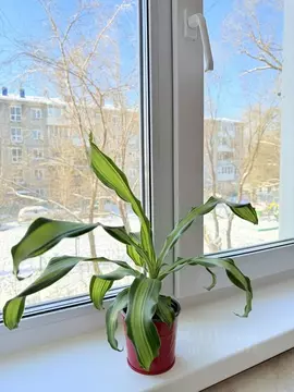 2-к кв. Омская область, Омск ул. 24-я Северная, 169 (44.9 м)