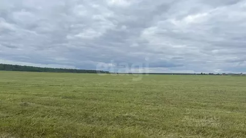 Участок в Свердловская область, Кушва ОЭЗ № 1 СНТ,  (6.0 сот.)